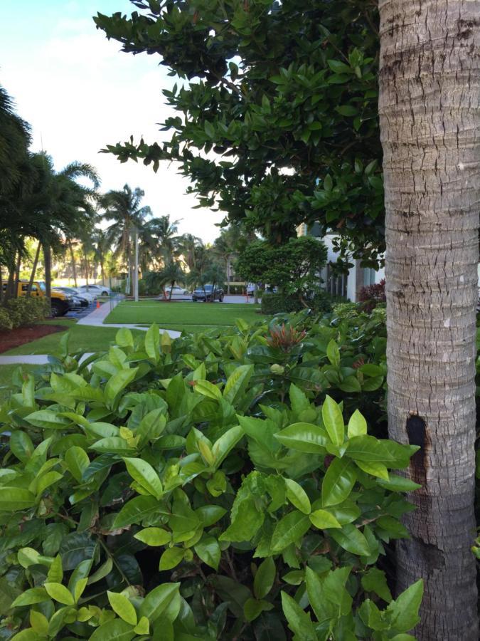 Disfruta Sunny Isles Ocean 1206 Apartment Miami Beach Bagian luar foto