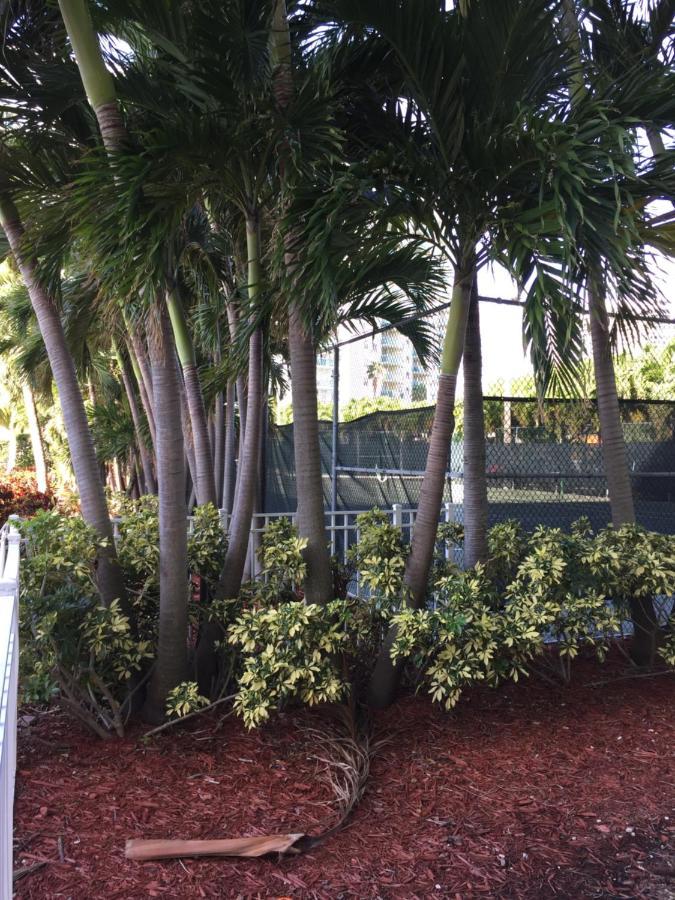 Disfruta Sunny Isles Ocean 1206 Apartment Miami Beach Bagian luar foto